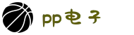 pp电子·(中国)官方网站